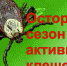 Главное управление МЧС России по Белгородской области напоминает о   начале периода  активности клещей - МЧС