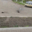 Село Солохи Белгородского района снова обстреляли. Есть пострадавший - Fonar.Tv