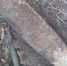 Взрывотехники Белгородской области ликвидировали 24 боеприпаса времён Великой Отечественной войны - Сетевое издание Знамя 31