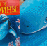 «И хоть они огромные, но в море очень скромные» - ЦБС г. Белгорода