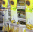 продуктовый магазин - Мир Белогорья