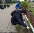 В Краснояружском районе Белгородской области 482 подростка нашли работу с начала года - Губернатор и правительство