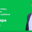 Владимир Перцев провёл прямой эфир - Сетевое издание Знамя 31