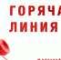 «Горячая линия» по вопросам частичной мобилизации теперь работает круглосуточно - Администрация города