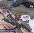 оружие и боеприпасы - Мир Белогорья