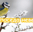 «Непоседа невеличка» - ЦБС г. Белгорода
