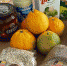 Белгородским школьникам выдадут продуктовые наборы - Мир Белогорья