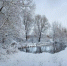 Спасатели назвали самые опасные места на белгородских водоёмах - Vbelgorode.Com