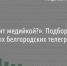«Кто рулит медийкой?». Подборка самых влиятельных белгородских телеграм-каналов [на 15.11.2022] - Fonar.Tv