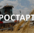 В регионе стартовал конкурс заявок на грант "Агростартап" - Минсельхоз Белгородской области