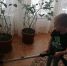 Воспитанники детских садов и обучающиеся школ продолжают активно проводить время в рамках акций «Добрая суббота» и «Семейный клуб выходного дня» - Администрация Белгородского района