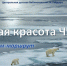 «Суровая красота Чукотки» - ЦБС г. Белгорода