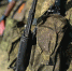 Белгородская область передала около 3 000 единиц спецоборудования военнослужащим в зоне СВО - Мир Белогорья