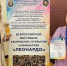 Ученицы Разуменской школы №3 в числе победителей и призёров Всероссийского фестиваля «Леонардо» - Администрация Белгородского района