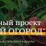 #ДОБРЫЙ ОГОРОД-2023: сезон открыт - Минсельхоз Белгородской области