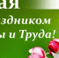 Поздравление с 1 Мая - Днём Весны и Труда! - БелГУ