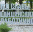 Имена пяти белгородских врачей появятся на региональной Аллее Славы - Мир Белогорья