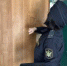 Запрет на регистрационные действия с недвижимостью побудил старооскольца выплатить долги - УФССП
