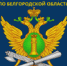 Порядок взыскания алиментов - УФССП
