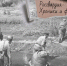 80 лет назад воины-чекисты прорвали "Голубую линию" в ходе битвы за Кавказ - Росгвардия