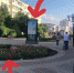 На фейковом сайте правительства Белгородчины опубликовали новость о пикете - Belgorod.Sm.News