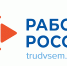 Жители Белгородского района могут пройти бесплатное обучение по ИТ-профессиям и получить помощь в трудоустройстве - Администрация Белгородского района