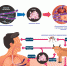В соседнем с Белгородской областью регионе обнаружена сибирская язва - Управление ветеринарии