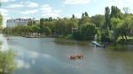 В Белгороде стартовал праздник «Белгород в цвету»