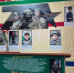 В школах Белгородской области увековечили память земляков, погибших в СВО - Единая Россия
