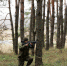 VSH_5896.JPG - Губернатор и правительство
