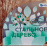 Фото: БФ "Милосердие" - Открытые НКО