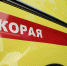 Белгородские врачи скорой помощи приняли роды на дому - БелПресса