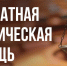 10 ноября в посёлке Дубовое пройдёт выездной личный приём по оказанию бесплатной юридической помощи - Администрация Белгородского района