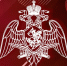 Генерал-полковник Сергей Бойко принял участие в заседании военного совета Центрального округа Росгвардии - Росгвардия
