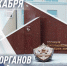 Органам военной контразведки ФСБ России 105 лет - Росгвардия