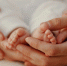 778 малышей родились в Белгородском районе в 2023 году - Сетевое издание Знамя 31