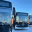 На улицы Старого Оскола вышли новые автобусы - Vbelgorode.Com