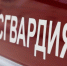 Белгородские росгвардейцы задержали подозреваемого в краже одежды из сетевого спортивного магазина - Сетевое издание Знамя 31