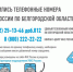 В налоговых органах Белгородской области изменились контактные телефоны - Belnovosti.Ru