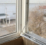 В Белгороде приступили к ликвидации последствий утреннего обстрела - БелПресса