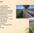 Состоялось заседание научного студенческого кружка «Правовед» - БУКЭП