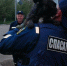 В Белгороде спасли французского бульдога - Vbelgorode.Com