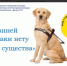 «Преданней собаки нету существа» - ЦБС г. Белгорода