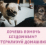 В государственных ветеринарных клиниках действует услуга по льготной стерилизации животных. - Администрация Белгородского района