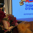 Белгородский фонд «Защитники Отечества» подвёл итоги работы за год - БелПресса