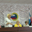 В Белгородском районе состоялась отчётно-выборная конференция Белгородской районной организации Белгородской региональной организации профсоюза государственных учреждений и общественного обслуживания РФ. - Администрация Белгородского района