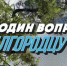 Какое у белгородцев самое яркое воспоминание из детства? - БелПресса