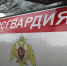 Белгородские росгвардейцы за прошедшую неделю выезжали около 130 раз по сигналу «Тревога» - Росгвардия