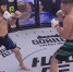 Виктор Немков победил экс-бойца UFC Шамиля Гамзатова - БелПресса