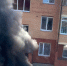 В Белгородской области 30 июня при атаках ВСУ погиб ребёнок, семь мирных жителей ранены - Мир Белогорья